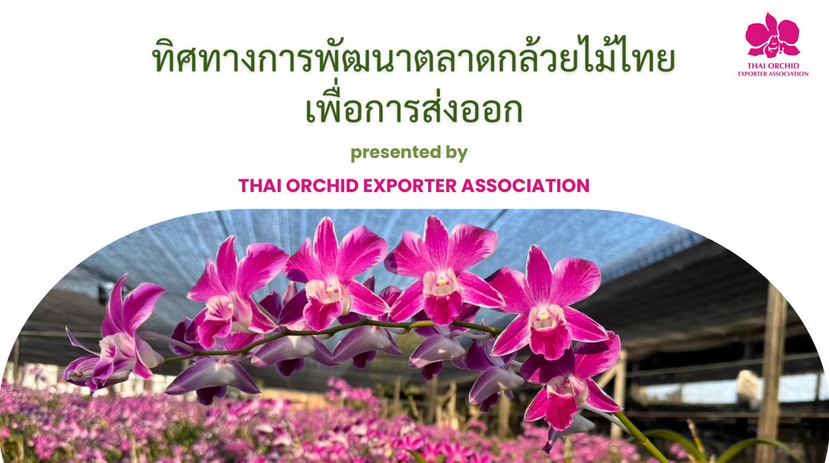 ทิศทางการพัฒนาตลาดกล้วยไม้ไทยเพื่อการส่งออก